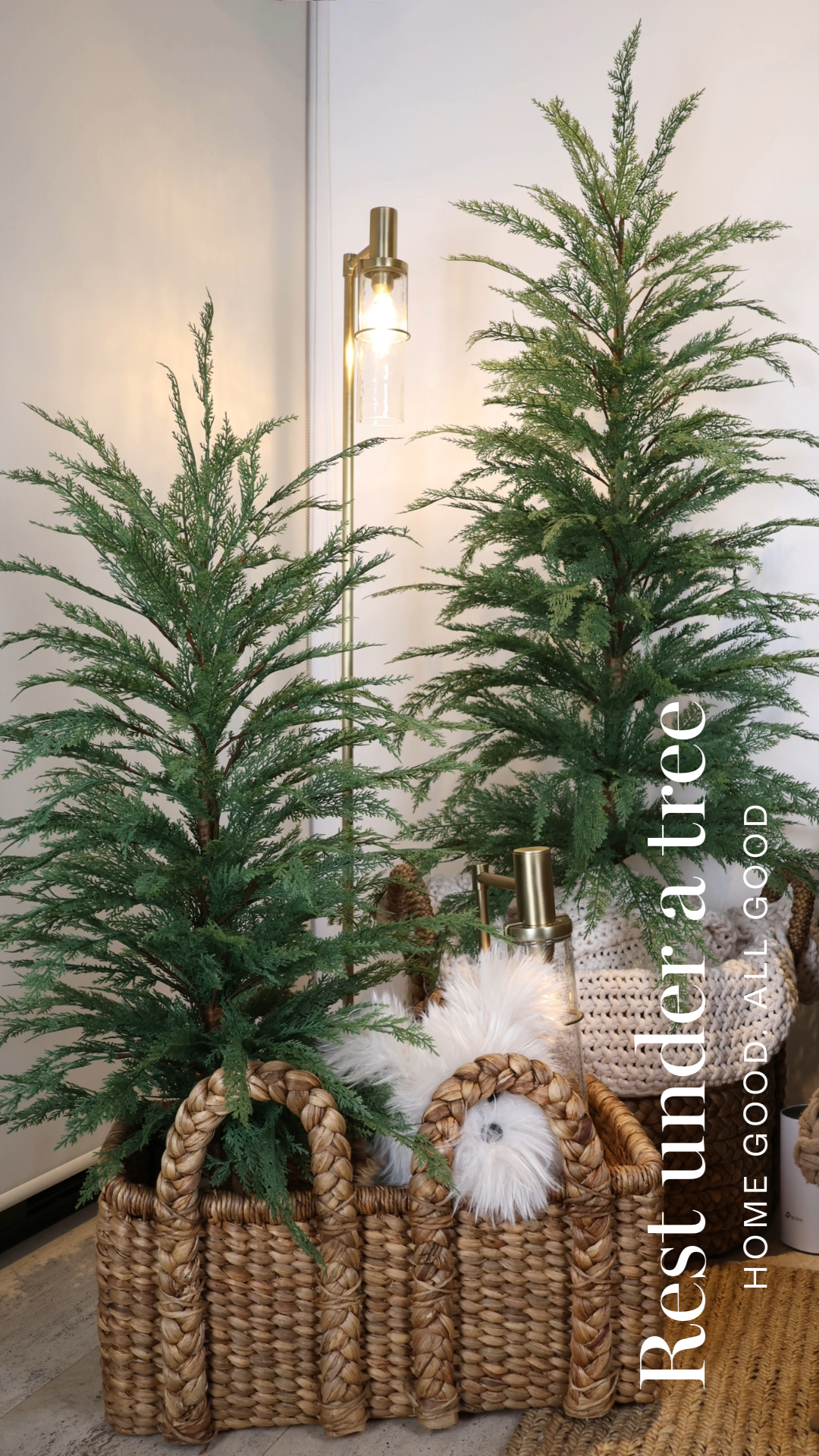 Árboles de Navidad 2025 – R.U.T.