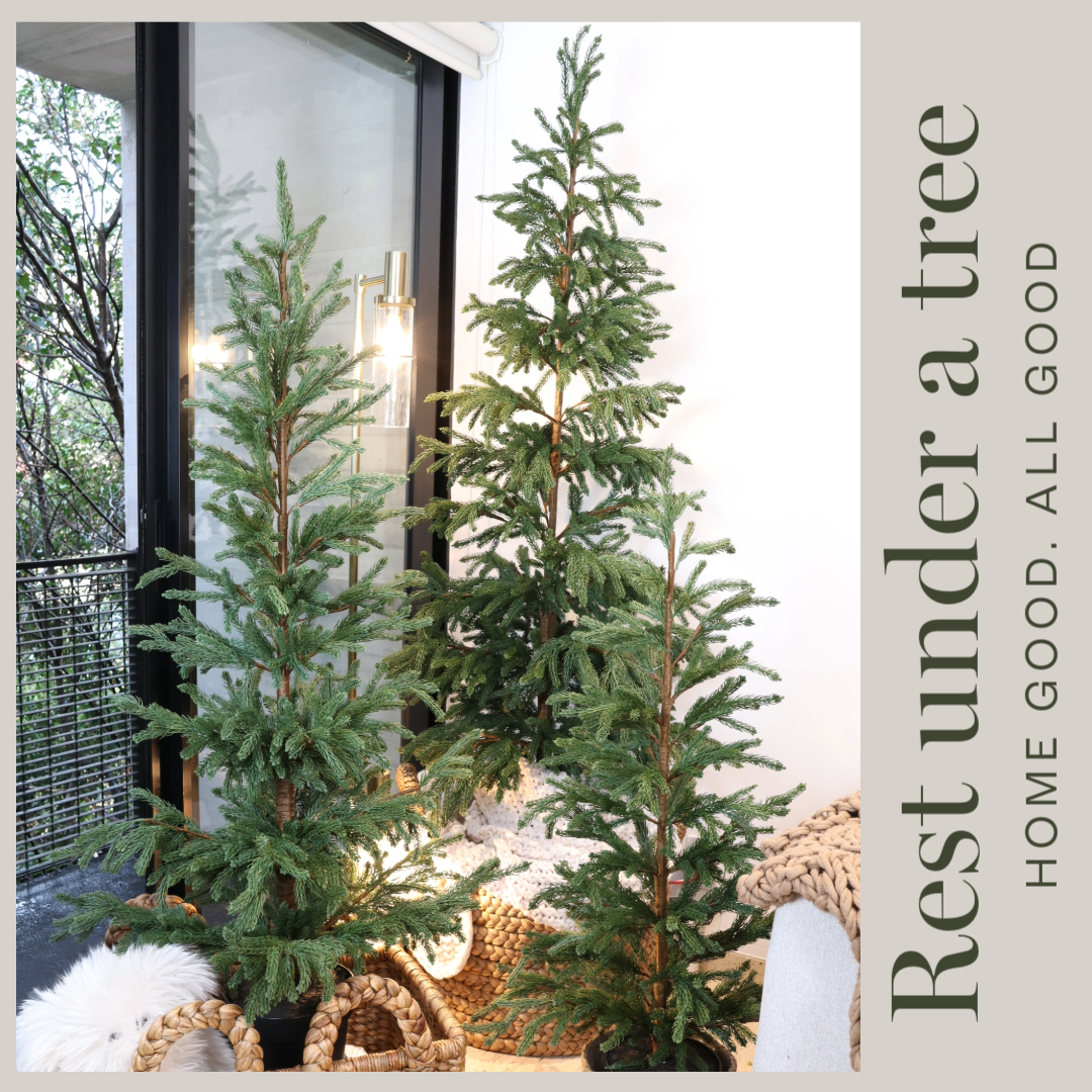 Árbol de Navidad 2025 Cedar con maceta clásica negra – Compacto y elegante
