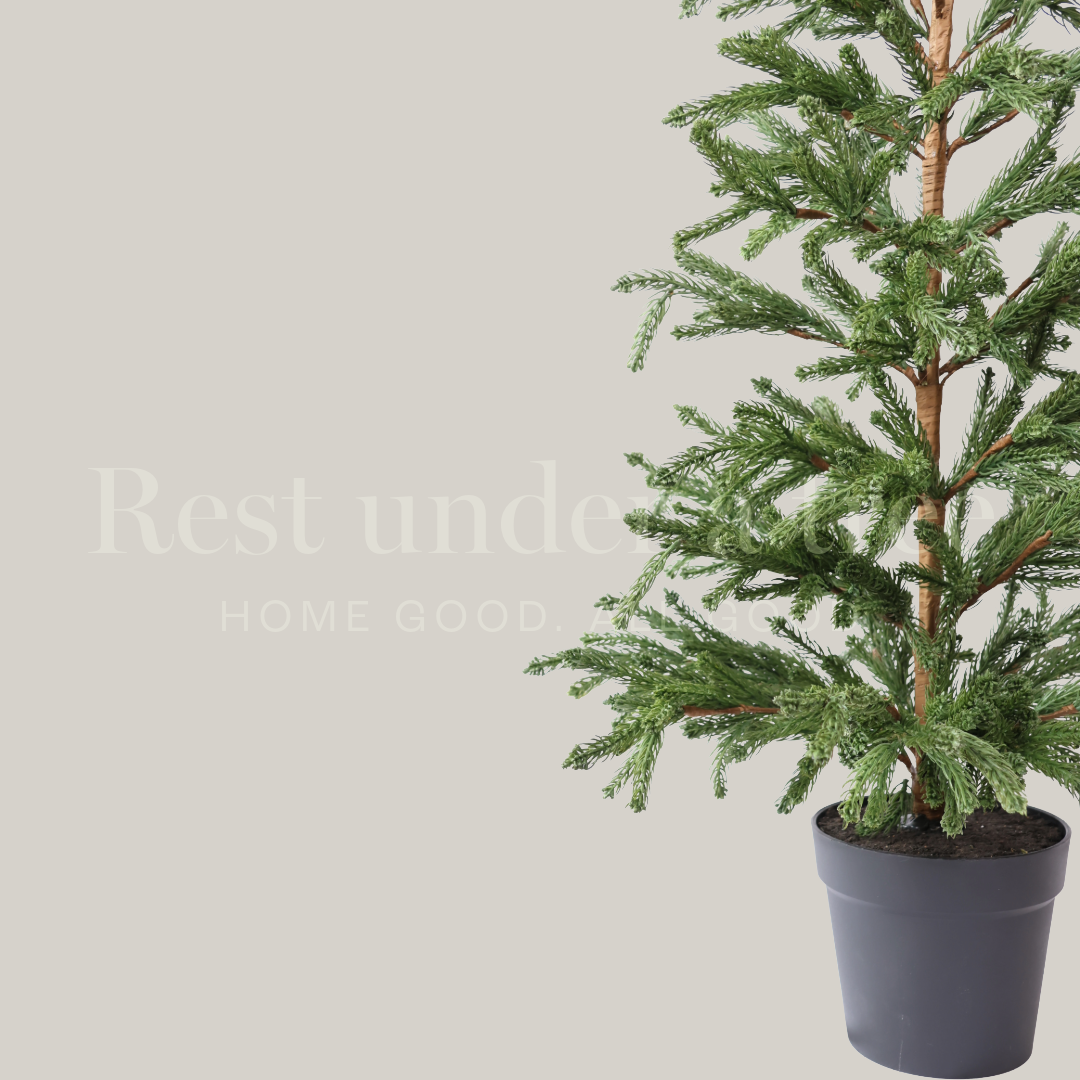 Árbol de Navidad 2025 Cedar con maceta clásica negra – Compacto y elegante