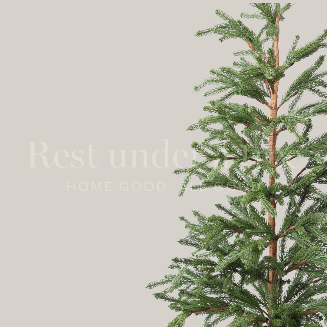 Árbol de Navidad 2025 Cedar con maceta clásica negra – Compacto y elegante