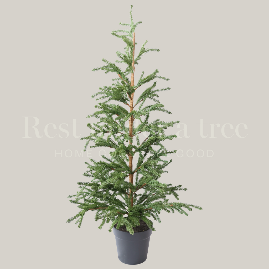 Árbol de Navidad 2025 Cedar con maceta clásica negra – Compacto y elegante