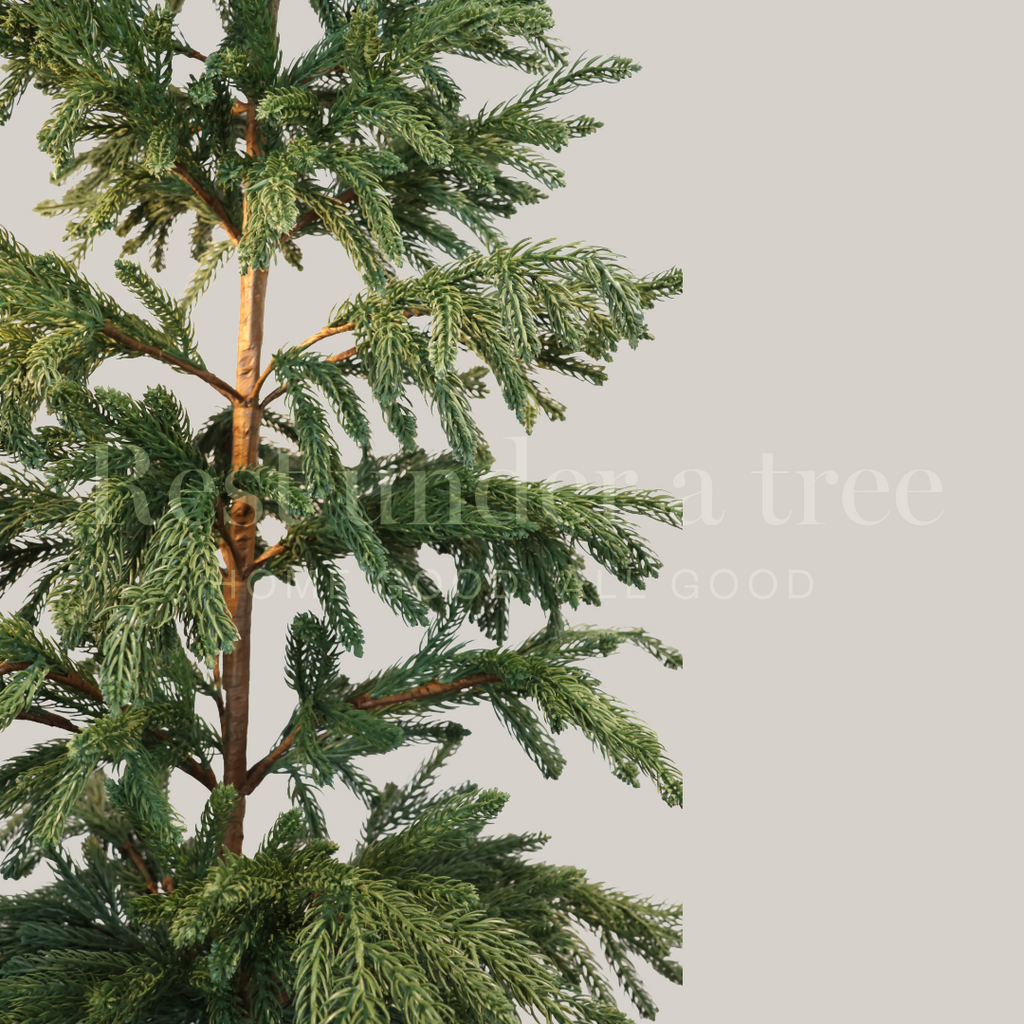 Árbol de Navidad 2025 Cedar con maceta clásica negra – Compacto y elegante