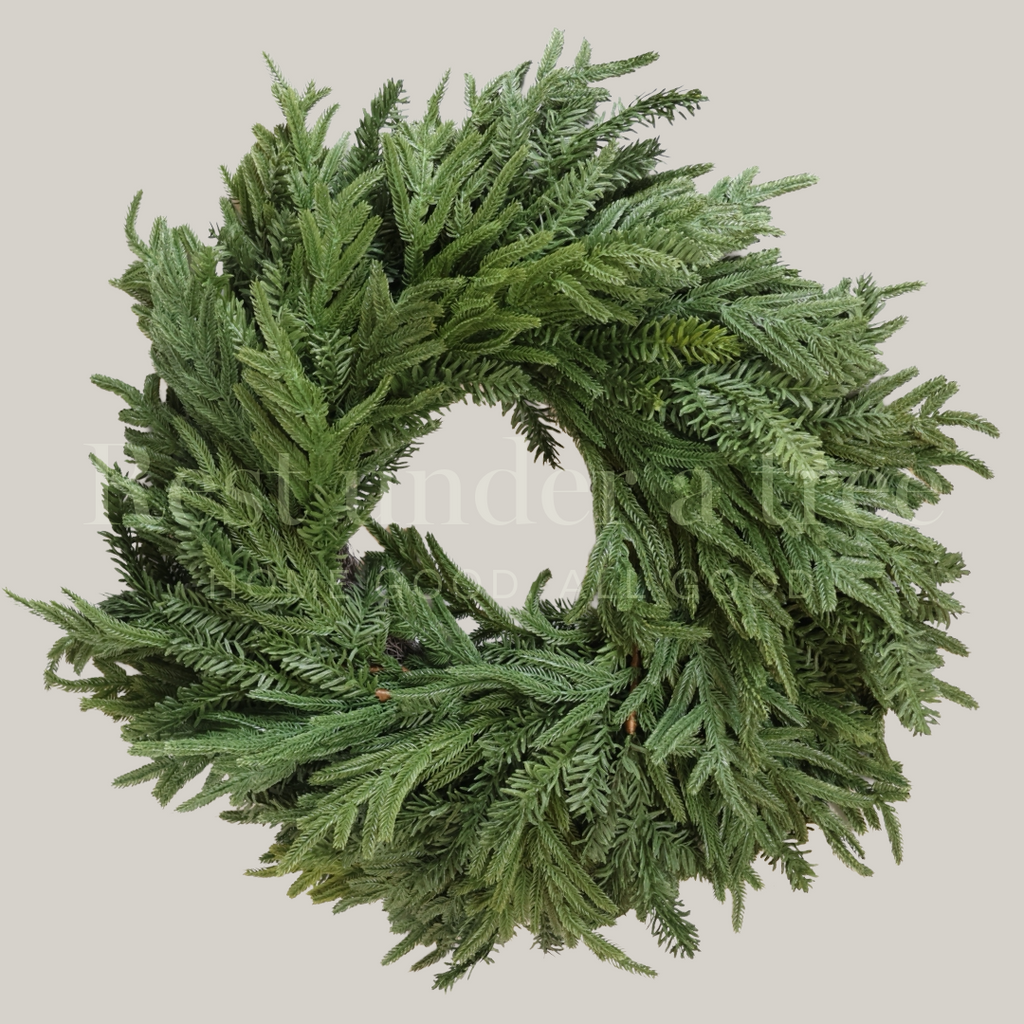 Corona Base R.U.T. 65CM – Presencia y Posibilidades