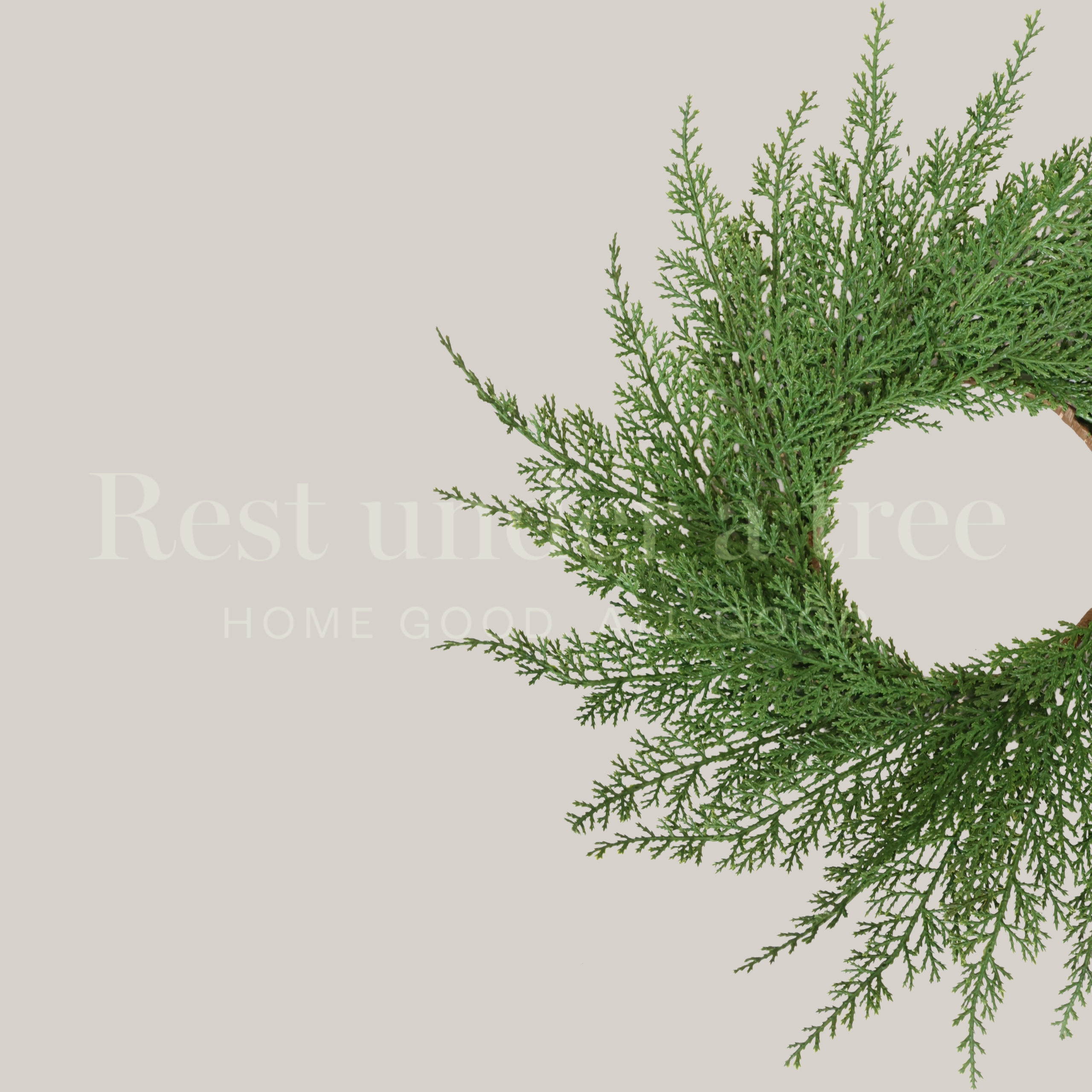 MINI Corona Base Delgada R.U.T. - 40CM