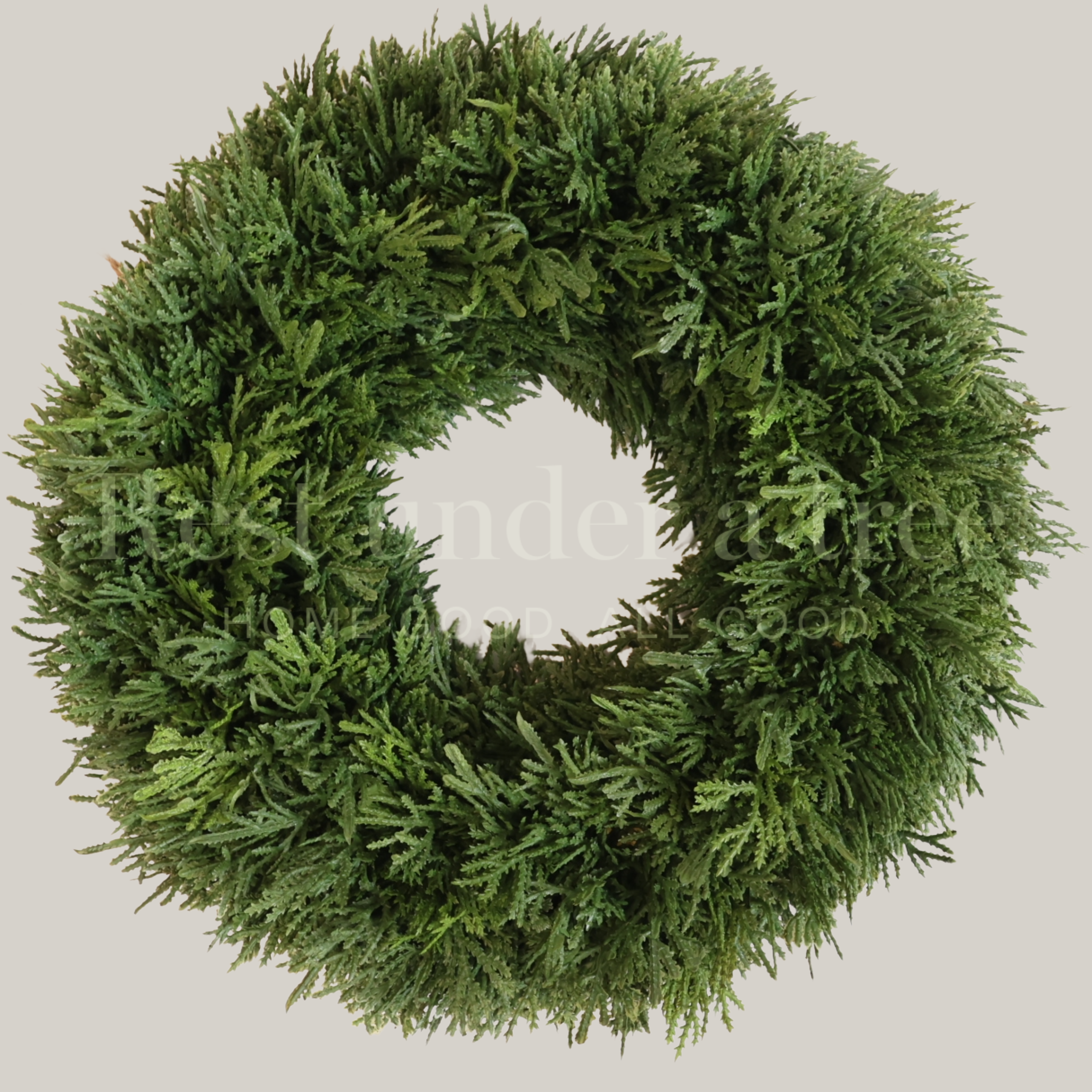 MINI Corona Base Pachona R.U.T. – 40CM