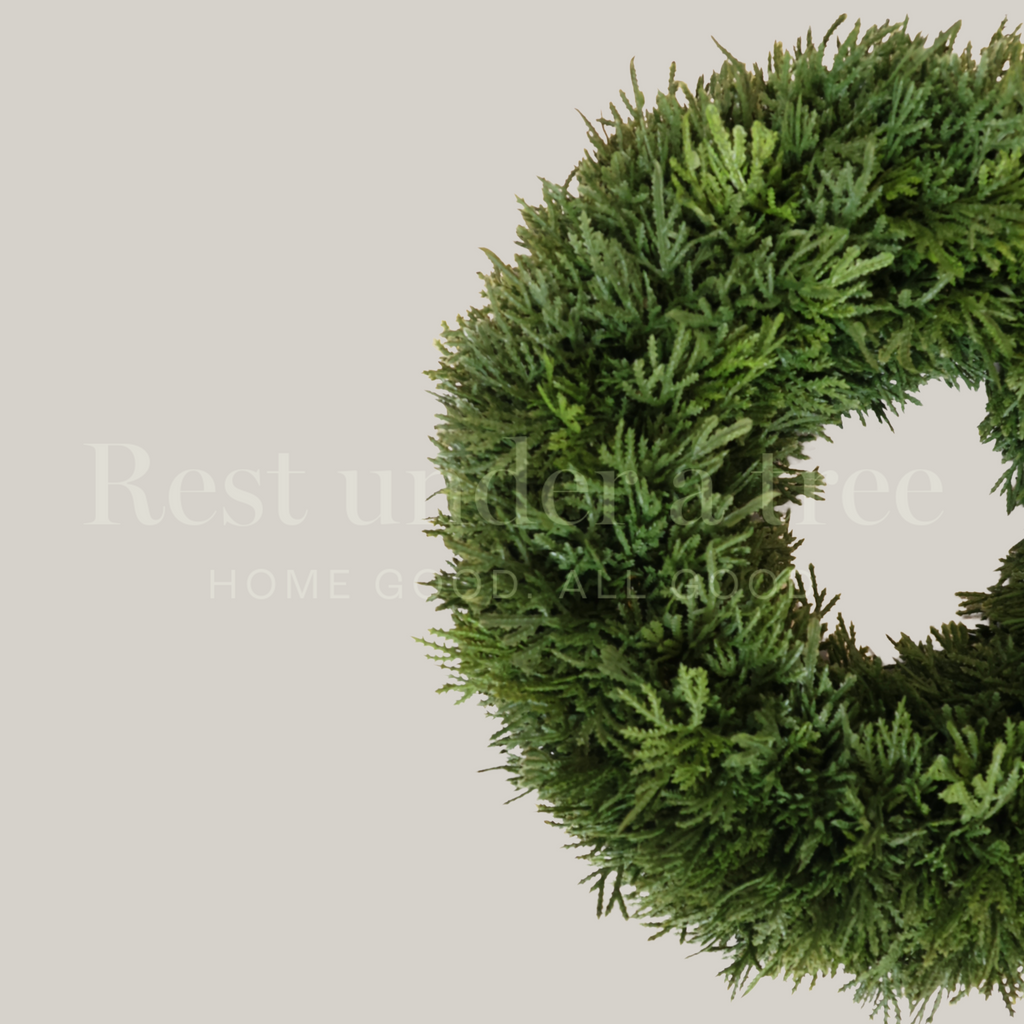 MINI Corona Base Pachona R.U.T. – 40CM