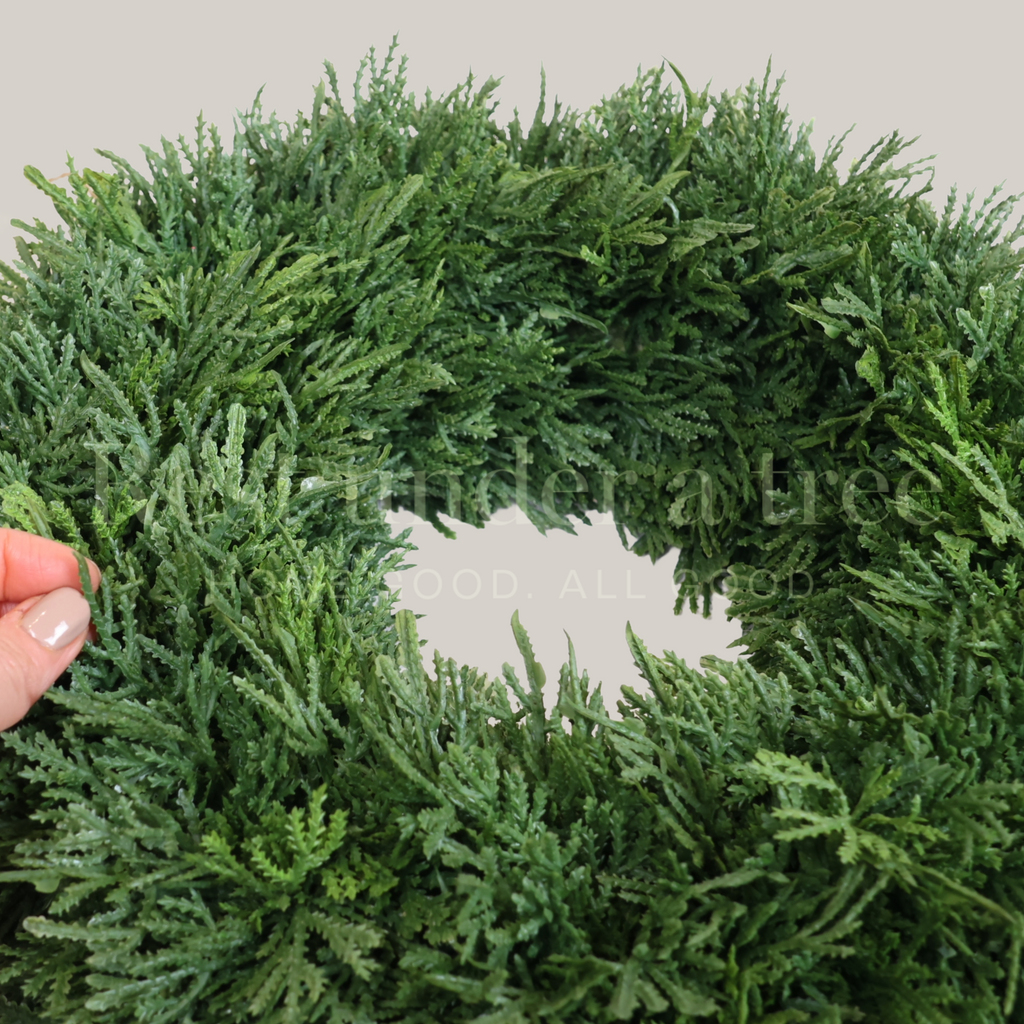 MINI Corona Base Pachona R.U.T. – 40CM